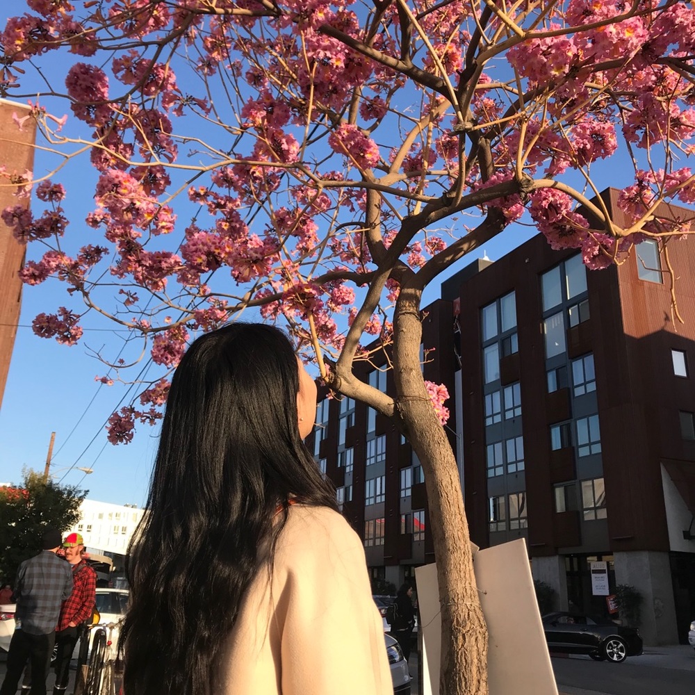 Meet your Posher, Mags